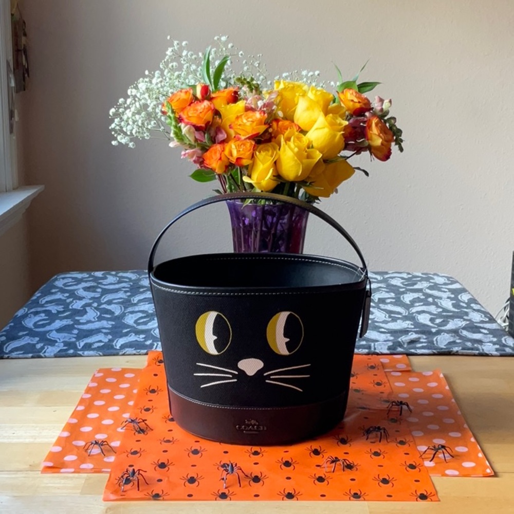 🐈‍⬛🎃🐈‍⬛ COACH TRICK OR TREAT CAT BUCKET BAG 🐈‍⬛🎃🐈‍⬛ NWT 🐈‍⬛🎃🐈‍⬛